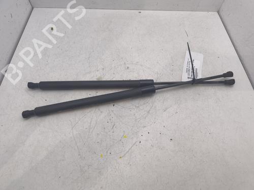 Amortecedor da mala RENAULT SCÉNIC III (JZ0/1_) 1.5 dCi (110 hp) 32747252