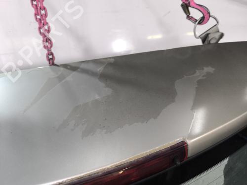 Bakluke CC/Kombi-Kupé RENAULT SCÉNIC II (JM0/1_) 1.5 dCi (JM1E, JM16) | BP29960059C6