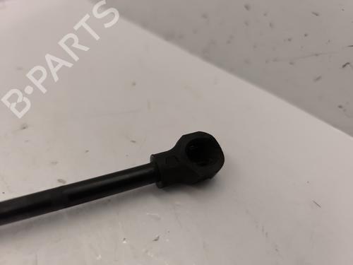 Used Hood lift support DACIA SANDERO II 1.5 dCi (90 hp) 25758094