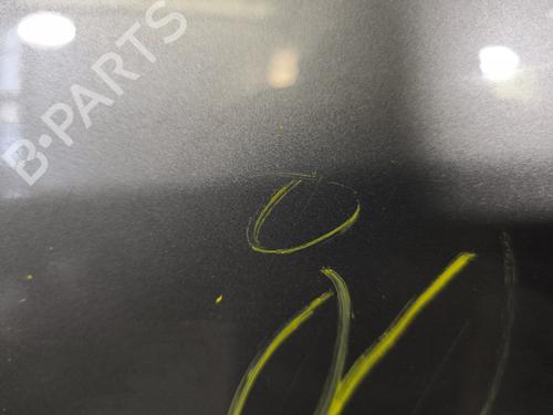 Left rear door RENAULT SCÉNIC III (JZ0/1_) 1.5 dCi | BP29869058C4