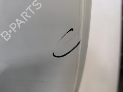 Right rear door RENAULT CLIO III (BR0/1, CR0/1) 1.5 dCi | BP29598736C5 