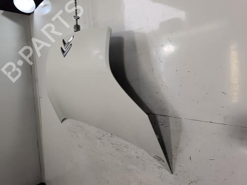 Hood CITROËN NEMO MPV 1.3 HDi 75 | BP29925547C1