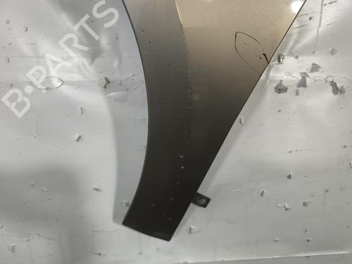 Left front fenders RENAULT MEGANE III Hatchback (BZ0/1_, B3_) 1.5 dCi (BZ0C) | BP29377277C41 