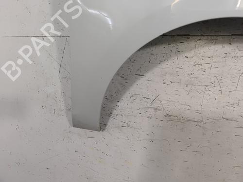 Right front fenders RENAULT SCÉNIC III (JZ0/1_) 1.5 dCi | BP28525890C42