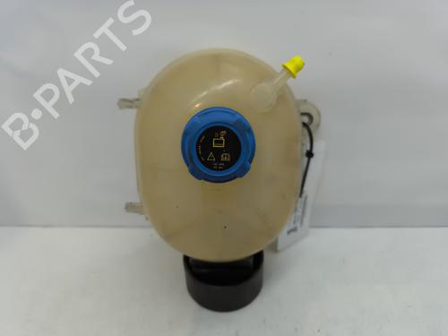 Used Expansion tank FORD KA (RU8) 1.3 TDCi (75 hp) 29044142