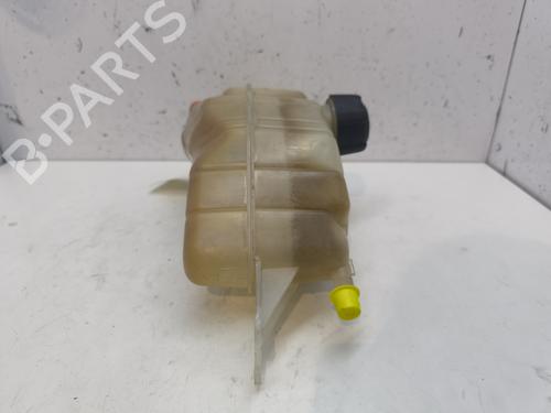 Expansion tank RENAULT CLIO III (BR0/1, CR0/1) 1.2 16V (BR02, BR0J, BR11, CR02, CR0J, CR11) | BP25996833C120 