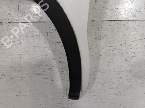 Left front fenders DS DS 4 / DS 4 CROSSBACK (NX_) 1.2 THP 130 (NXHNYM) | BP28679523C41 
