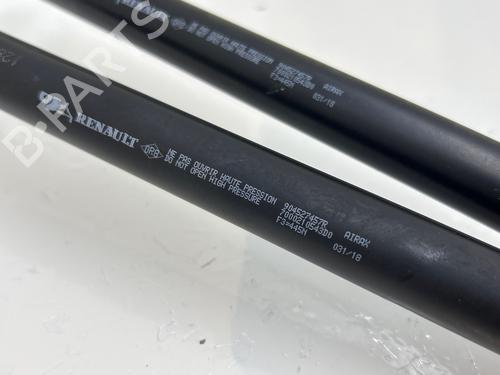 Tailgate lift support DACIA LOGAN MCV II TCe 90 (K8M1, K8MA, K8AC) | BP36004252C138 - Image 4