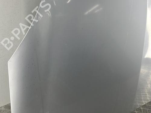 Hood RENAULT CLIO II (BB_, CB_) 1.5 dCi (B/C2J) | BP29299235C1 
