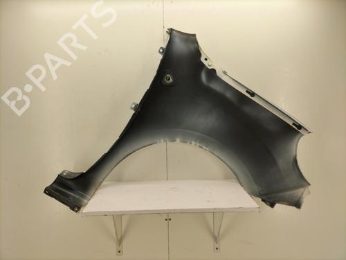 Left front fenders RENAULT KANGOO Express (FW0/1_) 1.5 dCi 85 (FW0K, FW0L, FW0B) | BP22860351C41 