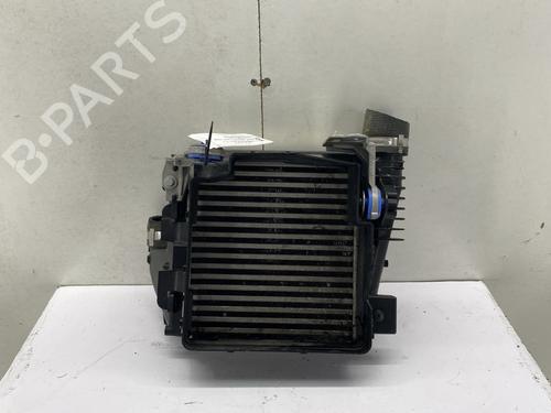 Intercooler PEUGEOT 3008 II SUV (MC_, MR_, MJ_, M4_) 2.0 BlueHDi 180 | BP29299282M30 