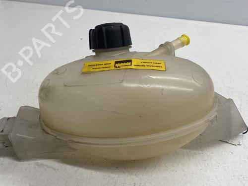 Expansion tank OPEL MOVANO B Van (X62) 2.3 CDTI FWD (FV) | BP27586576C120 