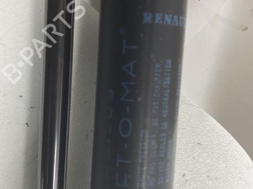 Tailgate lift support RENAULT SCÉNIC II (JM0/1_) 2.0 (JM05, JM0U, JM1N, JM1U, JM2V) | BP22860849C138 