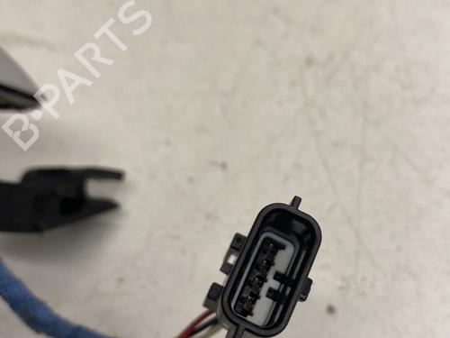 Front right exterior door handle RENAULT SCÉNIC IV (J9_) 1.2 TCe 115 | BP25910509C129 
