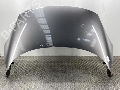 Used Hood RENAULT SCÉNIC III (JZ0/1_) 1.5 dCi (86 hp) 22854362
