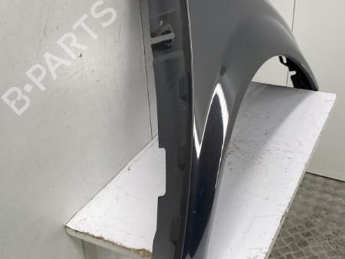 Left front fenders RENAULT SCÉNIC II (JM0/1_) 1.6 16V (JM1R) | BP22863127C41 