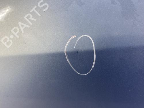Left front door HONDA JAZZ II (GD_, GE3, GE2) 1.2 i-DSI (GD5, GE2) | BP28139646C2 