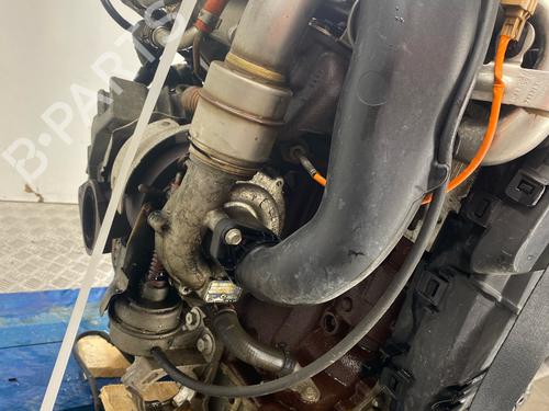 Engine RENAULT MEGANE III Hatchback (BZ0/1_, B3_) 1.5 dCi (BZ09, BZ0D, BZ1W, BZ29, BZ14) | BP38512273M1 - Image 5