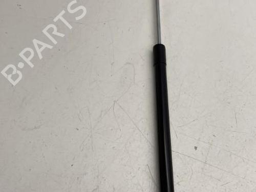 Used Hood lift support DACIA SANDERO II 1.2 (75 hp) 22863487