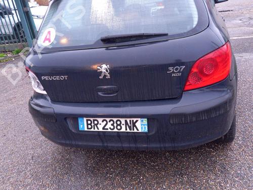 Left front door PEUGEOT 307 (3A/C) 1.6 HDi 110 | BP22862779C2 