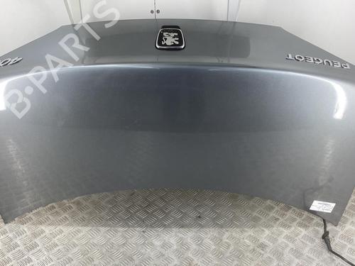 Tailgate PEUGEOT 406 Coupe (8C) 2.2 | BP22851714C6 