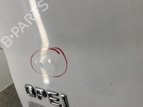 Venstre bagagerum dør Venstre bagagerum dør OPEL VIVARO A Van (X83) 2.0 CDTI (F7) (114 hp) 36169788 36169788