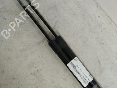 Used Tailgate lift support RENAULT ZOE (BFM_) ZOE (92 hp) 22854699