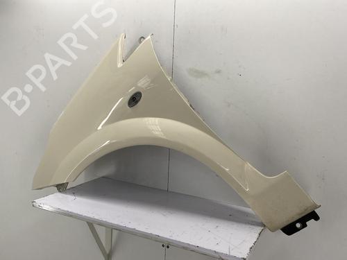 Left front fenders CITROËN C3 Pluriel (HB_) 1.4 HDi | BP22854873C41 