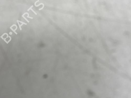 Lamp holder RENAULT SCÉNIC II (JM0/1_) 1.9 dCi (JM14) | BP29968949L10