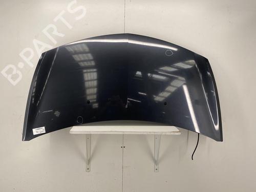 Hood RENAULT CLIO III (BR0/1, CR0/1) 1.5 dCi (BR17, CR17) | BP22856593C1 
