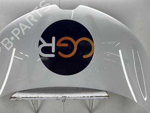 Motorhjelm RENAULT ZOE (BFM_) ZOE (BFMC, BFMD) (136 hp) 33205667