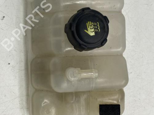 Used Expansion tank RENAULT SCÉNIC IV (J9_) 1.2 TCe 115 (115 hp) 26683726