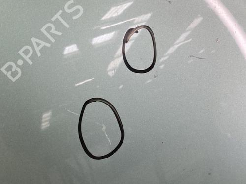 Hood PEUGEOT 307 (3A/C) 2.0 HDi 90 | BP22858941C1 