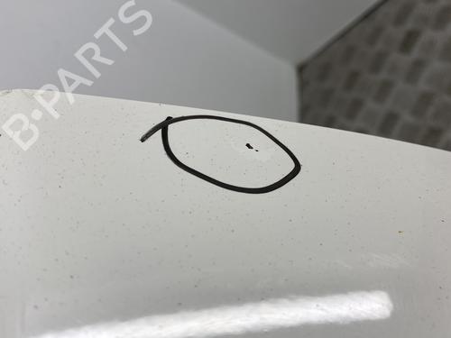 Tailgate FIAT 500 (312_) 0.9 (312AXG1A, 312.AXG11) | BP22851515C6