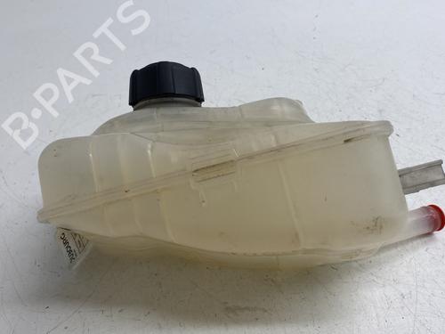 expansion-tank-renault-megane-iii-coupe-dz01_-2008-2009-2010-2011-2012-2013-2014-2015-2016-26452160 main image