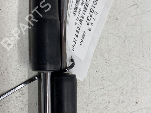 Tailgate lift support RENAULT LAGUNA Coupe (DT0/1) 2.0 dCi (DT01, DT08, DT09, DT0K, DT12, DT1C, DT1D, DT1M,... | BP29375519C138 