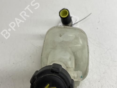 expansion-tank-renault-arkana-i-lcm_-ldn_-2019-28691982 main image