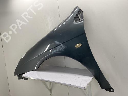 Left front fenders CITROËN C5 II (RC_) 1.6 HDi (RC8HZB) | BP22857215C41 