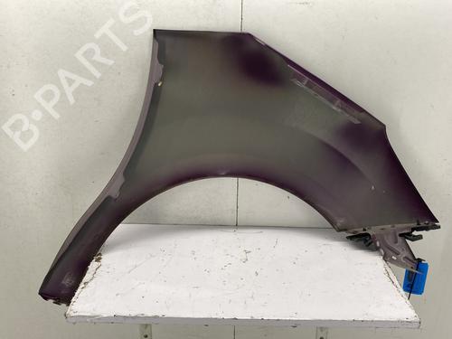 Left front fenders CITROËN C3 II (SC_) 1.0 VTi 68 | BP29375461C41 