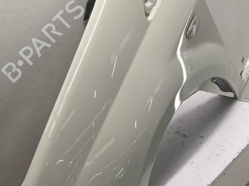 Left front fenders FIAT PUNTO EVO (199_) 1.3 D Multijet (199AXC1A, 199BXC1A, 199AXT1A, 199BXT1A) | BP29375473C41 