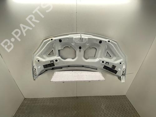 hood-renault-twingo-ii-cn0_-2007-37036911 main image