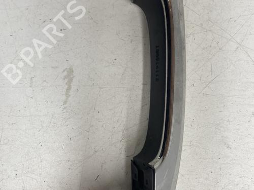 Rear left exterior door handle RENAULT SCÉNIC IV (J9_) 1.2 TCe 115 | BP25910508C130 