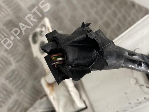 Right tailgate FORD TRANSIT CONNECT (P65_, P70_, P80_) 1.8 Di | BP22856971C77 