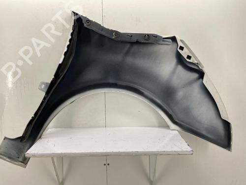 Used Left front fenders CITROËN C4 Grand Picasso I (UA_) 2.0 HDi 138 (136 hp) 22852526