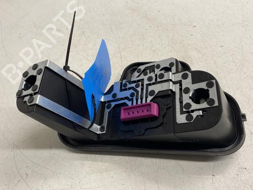 Lampeholder RENAULT MEGANE III Coupe (DZ0/1_) 1.5 dCi (DZ09, DZ0D, DZ1F, DZ1G, DZ14, DZ29) (110 hp) 31124317