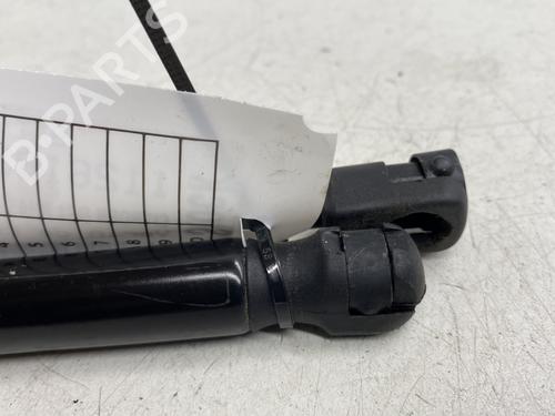 Tailgate lift support CITROËN DS4 (NX_) 1.6 HDi 110 | BP29529031C138 