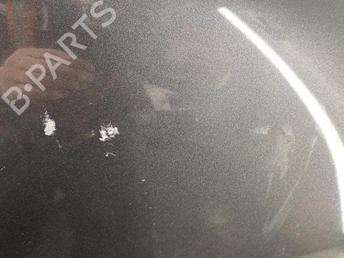 Hood CITROËN C4 II (NC_) 1.6 HDi 90 | BP29299384C1 