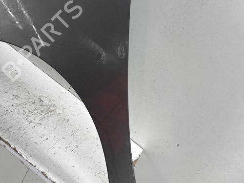 Forskærm venstre Forskærm venstre NISSAN NV200 Van 1.5 dCi 90 (M20, M20N, M20M) (90 hp) 35801154 35801154