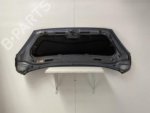 Used Hood PEUGEOT 1007 (KM_) 1.4 HDi (68 hp) 22858603
