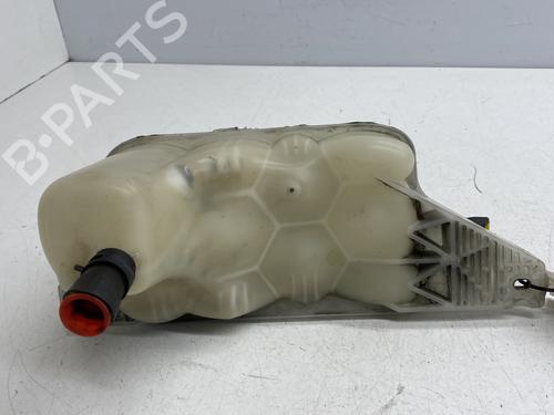 Expansion tank NISSAN JUKE (F15) 1.5 dCi | BP29299381C120 